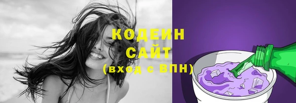 стафф Верхний Тагил