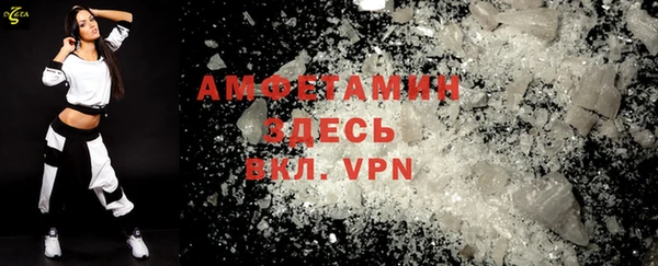 шишки Дмитриев