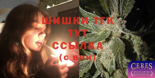 стафф Верхний Тагил