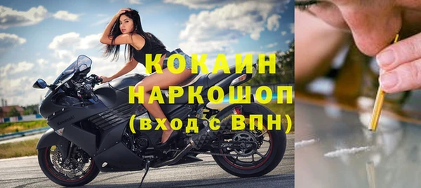 тгк Дмитров