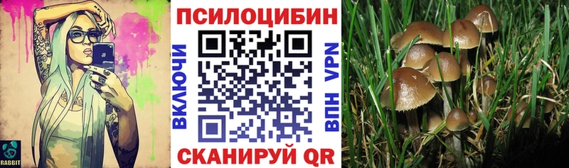 Галлюциногенные грибы Magic Shrooms  Рузаевка 