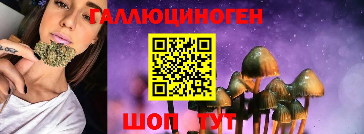Псилоцибиновые грибы Magic Shrooms  Псилоцибиновые грибы GOLDEN TEACHER  Вход с VPN  Рузаевка 
